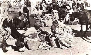 Images d'Algerie 133